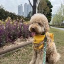 빅포클럽 이미지