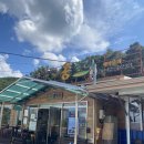 콩누리 | [경산 사동] 콩누리_두부닭찜