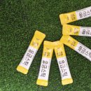 진도삼촌울금 이미지