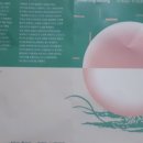 성북예술창작터(성북구립미술관 분관) 이미지