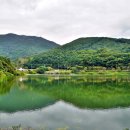 쑥부쟁이(용산저수지)둘레길 이미지