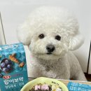 [강아지 영양제 추천] 하림펫푸드 밥이보약 영양톡톡 후기