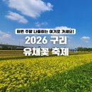 왕숙천둔치공원(무대광장) | 2026 구리 유채꽃 축제 | 구리한강시민공원 주차, 아이동반 꿀팁