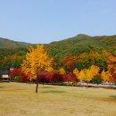 배론성지 이미지