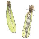 덕문농장 이미지