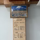 푸른바다물회