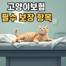 삼성펫클리닉 | 🐱고양이 보험 필수 보장 항목｜입원·수술·건강검진 다 될까?