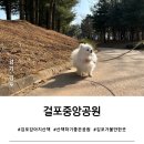 걸포중앙공원 관리동 화장실 | 김포 걸포동 강아지 산책하기 좋은 곳, 걸포중앙공원