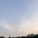 대덕골프
