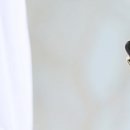 다온한방병원 이미지