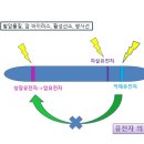 해월씨에스의원 네이버블로그