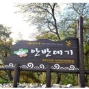 와우4리 | 강릉 안반데기 가는 방법 별 은하수 차박 마을 숙박