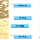 중부농업인상담소 | ◈ 제12호 주간농사 정보(2018. 3. 18 ~ 3. 24)