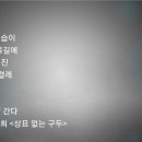 시감상과 창작 이미지