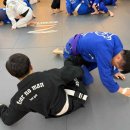 컴뱃헬스 주짓수 | 서산에서 종합격투기 운동 제대로 배울 수 있었던 방문 후기