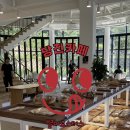 별미로스터스
