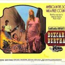 1972 박스카 베르타 Boxcar Bertha 이미지