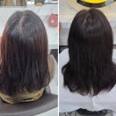 제이헤어 | 대전도안동미용실 더퍼스트 제이헤어 뿌리염색 후기