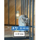 더문338