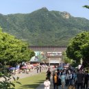 평화대공원 | [과천 서울대공원] 따뜻한 봄 주말 동물원 다녀온 후기 ☀️