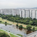 분당-190 이미지