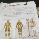 exHolic 야탑점 | [야탑헬스] 야탑 휘트니스 1위, 익스홀릭 야탑점 시설&amp;PT후기