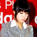 프리지아 이미지