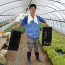 만능효소 이미지