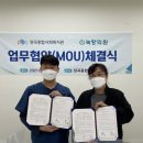 녹향 이미지