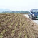 문평공원 이미지