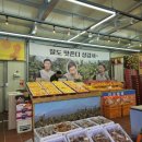 팔도렌트카 이미지