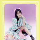 리사플라워 이미지