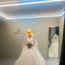 [웨딩드레스] 청담 신상웨딩샵 로아나블랑 피팅후기