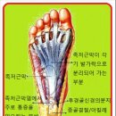동아대 한울 태권도 네이버블로그