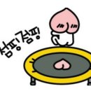 쭉빼점핑클럽