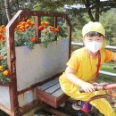 산새목장 이미지