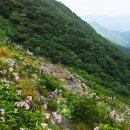 무주화원 이미지