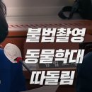 국정감사 에서 개털린 EBS 애니메이션 포텐독 이미지