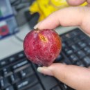 창동성원점 이미지