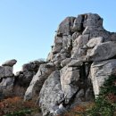 남해-299 이미지