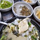 어부마을바다장어산곰장어