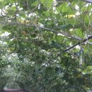 호박여관 이미지