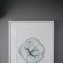 중앙표구사 이미지