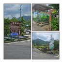 섬진강 따라걷기 5월25(월) 화개 정금 차밭~ 섬진강~ 섬진강철교 30km 이미지