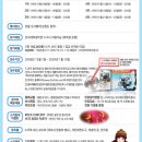 하이트캠프 이미지