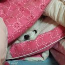 나예쁘다