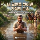 ​🫧 교만을 씻어내는 순종과 참된 치유 (열왕기하 5장) 이미지