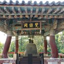 개나리목장 이미지