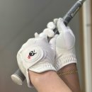 에스(S)라인점핑클럽 | 골프장갑 추천 커플골퍼 XTANCE S-GRIP 기능성 합피 골프장갑 후기