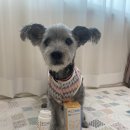 임프로동물병원 이미지